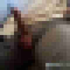Hannes12345