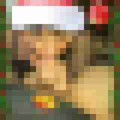 hasehase23