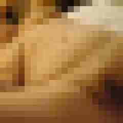 Letsy4u2c