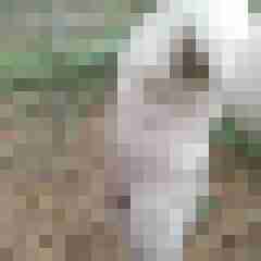 exib1