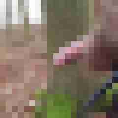 hamue6