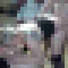 picturefreak