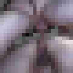 picturefreak
