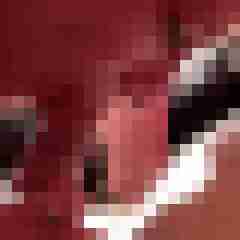 picturefreak