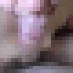 picturefreak