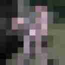 Leonhard