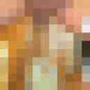 ressip53