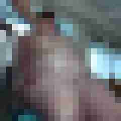 picturefreak