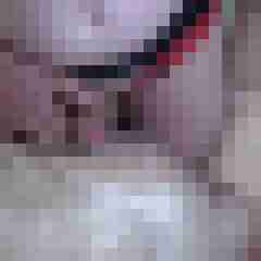 picturefreak