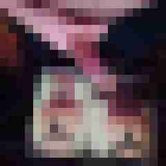hornyxsar