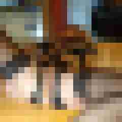 scarett
