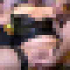 picturefreak