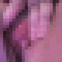 HoneyTanni79