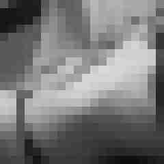 Eule_41