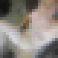foodstuff