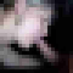 picturefreak