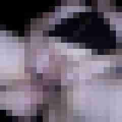 picturefreak