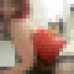 Eule_41