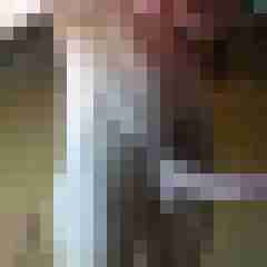 phil523