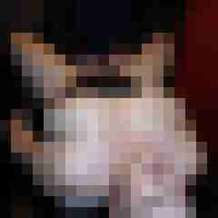 picturefreak