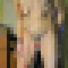 seemann0706