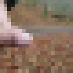 hamue6