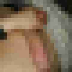 Aoteenboy
