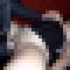picturefreak