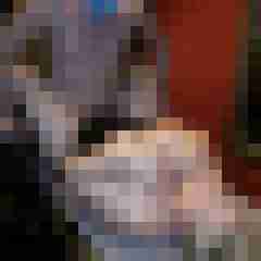 picturefreak