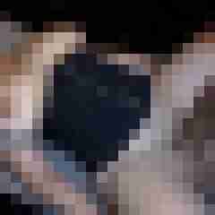 picturefreak