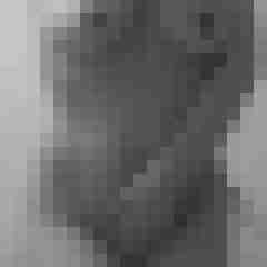 Eule_41