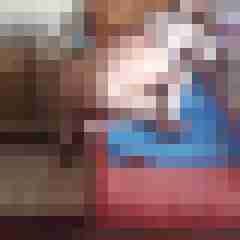 paarlustvoll07552