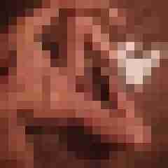 ChrisFox1