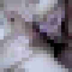 picturefreak