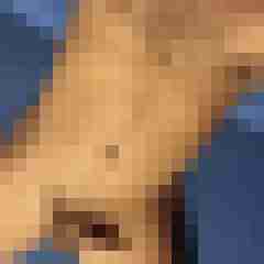 sexmanfred1000
