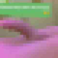 Lolitaboy