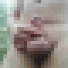 exib1