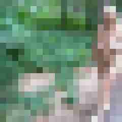 Letsy4u2c