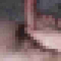 Big_DogSex