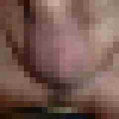 querfloete