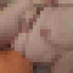 SSBBW_Luder
