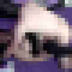 picturefreak
