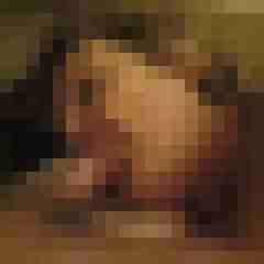 Letsy4u2c