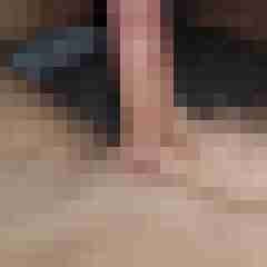 friendly_cock