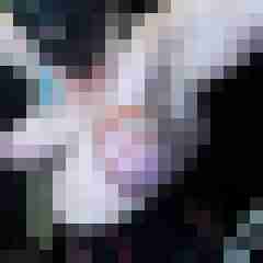 picturefreak
