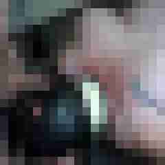 picturefreak
