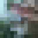 bilatte82