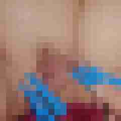Paards