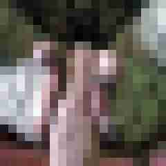 Nylongeiles_Paar