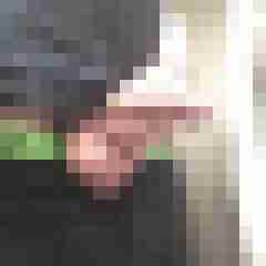 dickerchen73